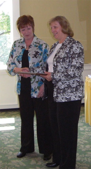 Professsional Silver Winner